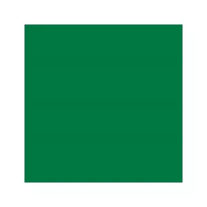 Serviette TNT Mank 40x40 55g vert foncé forêt (8E)